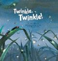 Twinkle Twinkle Insect Life Cycle