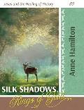 Silk Shadows, Rings of Gold: Jesus and the Healing of History 03