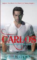 Carlos: Porn Star Brothers Book 1