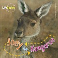 Joey to Kangaroo (Life Cycles)
