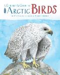 Childrens Guide to Arctic Birds
