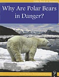Why Are Polar Bears in Danger?