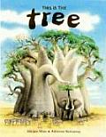 This Is The Tree Story Of Baobab