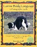 Canine Body Language A Photographic Guide Interpreting the Native Language of the Domestic Dog