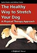 Healthy Way to Stretch Your Dog A Physical Therapy Approach
