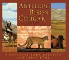 Antelope Bison Cougar A National Park Wi