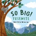 So Big Yosemite