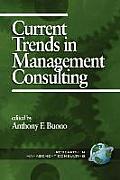 Current Trends in Management Consulting (PB)
