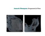 James B. Thompson: Fragments in Time