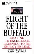 Flight Of The Buffalo Soaring To Excel