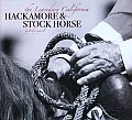 Legendary California Hackamore & Stock Horse