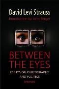 Between The Eyes Essays On Photography