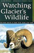 Watching Glaciers Wildlife