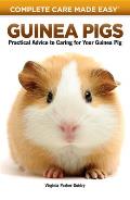 Guinea Pigs Practical Advice to Caring for Your Guinea Pig