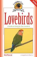 Lovebirds: A Guide to Caring for Your Lovebird