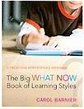 The Big What Now Book of Learning Styles: A Fresh and Demystifying Approach