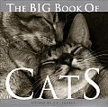 Big Book Of Cats
