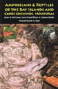 Amphibians & Reptiles Of The Bay Islands & Cayos Cochinos Honduras