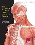 The Illustrated Portfolio of Human Anatomy and Pathology