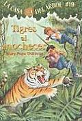 Casa del Arbol 19 Tigres Al Anochecer Tigers at Twilight Magic Treehouse