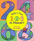 Babys First 1 2 3 in Hawaii