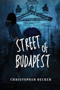 Street of Budapest
