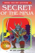 Choose Your Own Adventure 016 Secret Of The Ninja