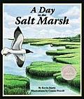 Day In The Salt Marsh