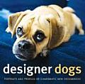 Designer Dogs Portraits & Profiles of Popular New Crossbreeds