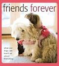 Friends Forever What Our Dogs Can Teach Us about Friendship