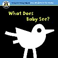 What Does Baby See