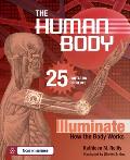 Human Body 25 Fantastic Projects Illuminate How the Body Works