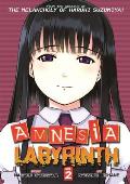 Amnesia Labyrinth Volume 2