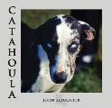 Catahoula: Louisiana State Dog