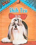 Shih Tzu: Lion Dog