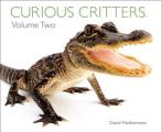 Curious Critters Volume Two