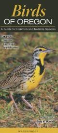 Birds of Oregon A Guide to Common & Notable Species
