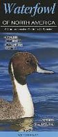Waterfowl of North America A Comprehensive Guide to All Species