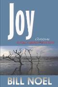 Joy: A Folly Beach Christmas Mystery