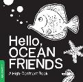 Hello, Ocean Friends: A Durable High-Contrast Black-And-White Board Book for Newborns and Babies