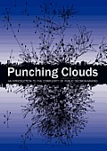 Punching Clouds: An Introduction to the Complexity of Public Decision-Making