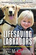 Lifesaving Labradors: Stories from Families with Wildrose Diabetic Alert Dogs
