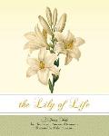 The Lily of Life: A Fairy Tale