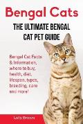 Bengal Cats: Bengal Cat Facts & Information, where to buy, health, diet, lifespan, types, breeding, care and more! The Ultimate Ben