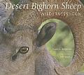 Desert Bighorn Sheep Wilderness Icon
