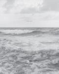 Barbara Bosworth: The Sea