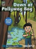 Down at Pollywog Bog