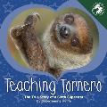 Teaching Tornero: The True Story of a Sloth Superstar