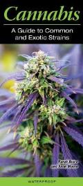 Cannabis a Guide to Common & Exotic Strains