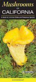 Mushrooms of California A Guide to Common Edible & Poisonous Species